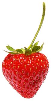 fragole