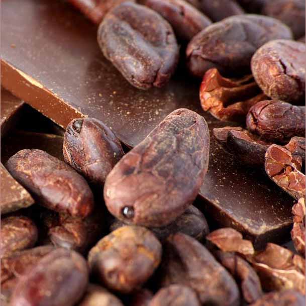 cacao e cioccolata