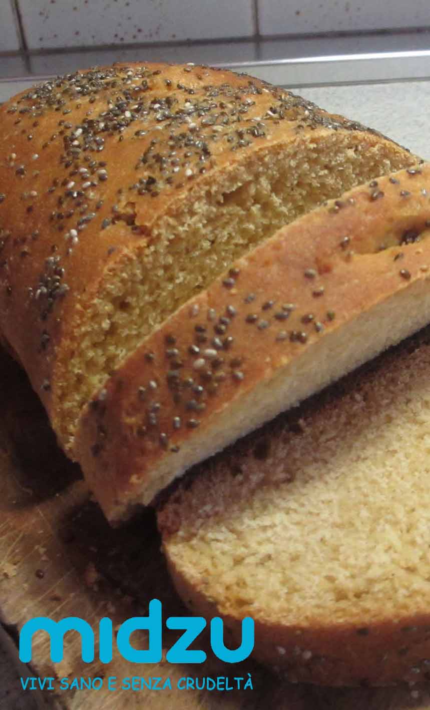 Pane ai semi di chia e tukmaria